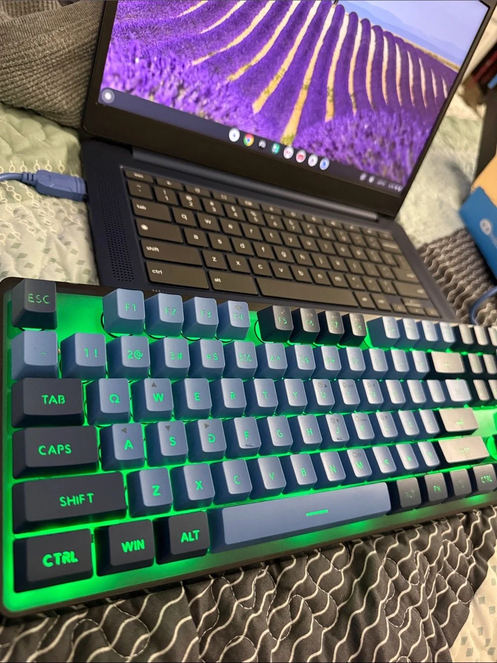 Lenovo White and Blue Wired Keyboard and Mouse Combo (Boxed)